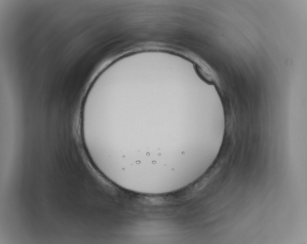 X0000111820911200908201128
