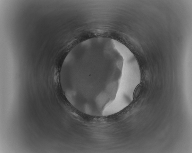 X0000111820914200908201127