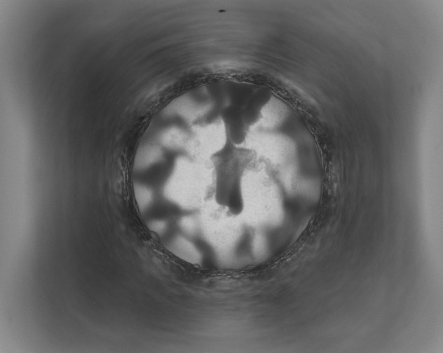 X0000111820917200908201127