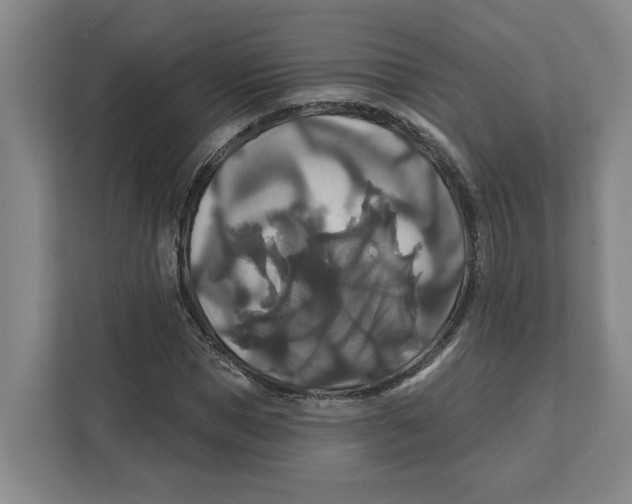 X0000111820921200908201127