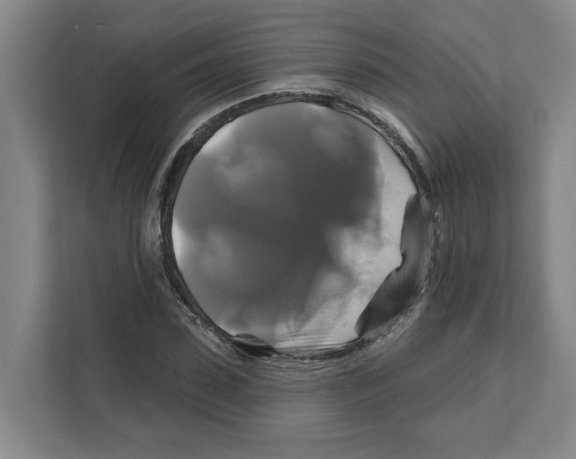 X0000111820923200908201127