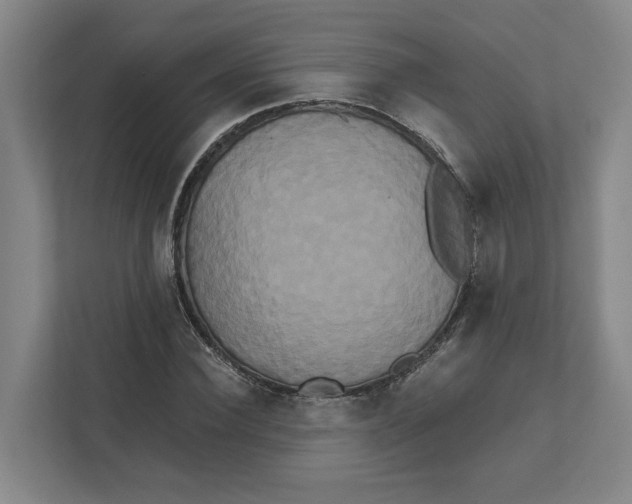 X0000111820924200908201127