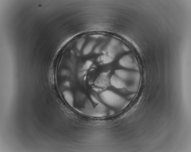X0000111820925200908201127