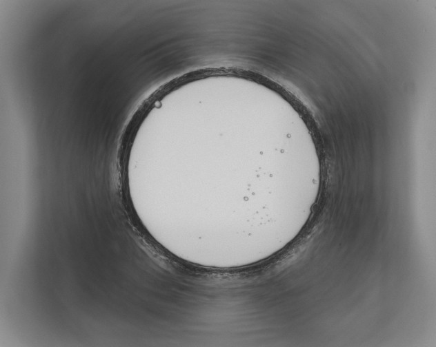 X0000111820927200908201128