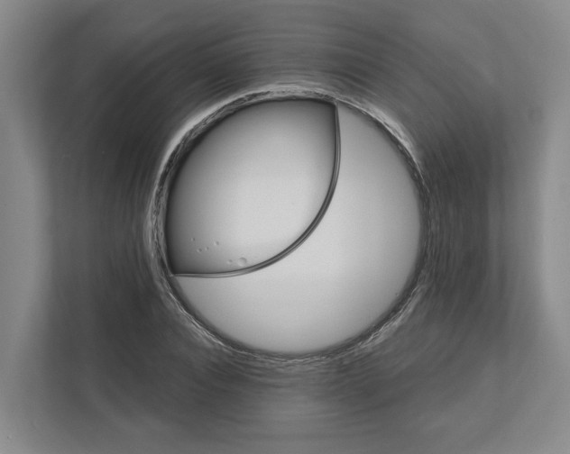 X0000111820928200908201128