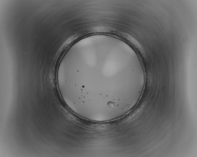 X0000111820930200908201128