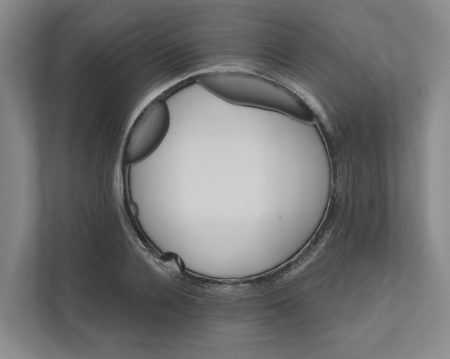 X0000111820936200908201128