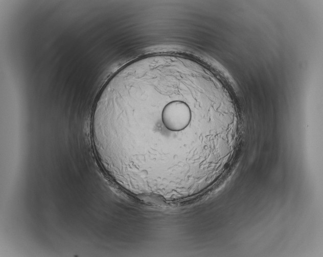 X0000111820937200908201128