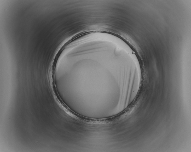 X0000111820941200908201128