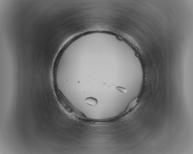 X0000111820942200908201128