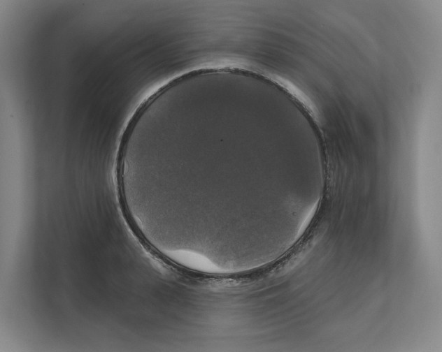 X0000111820943200908201128