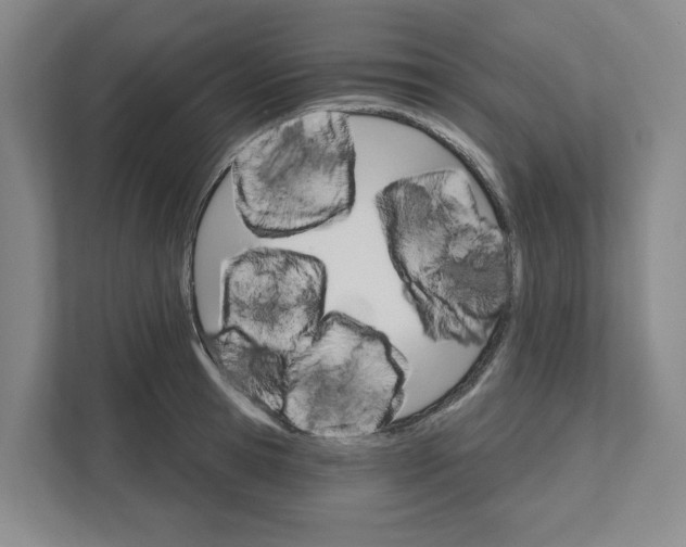 X0000111820945200908201128