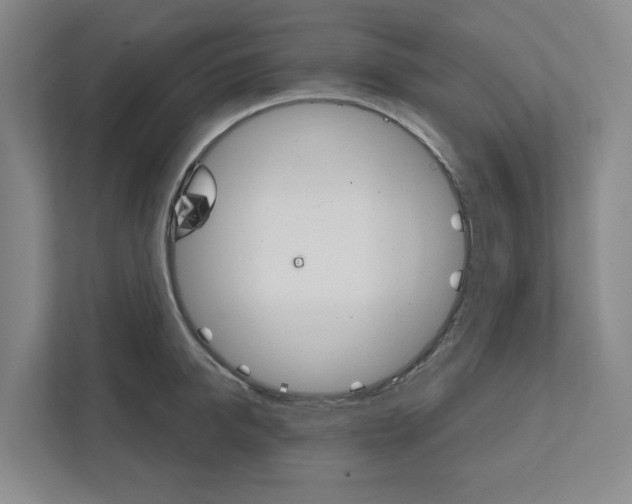 X0000111820950200908201128