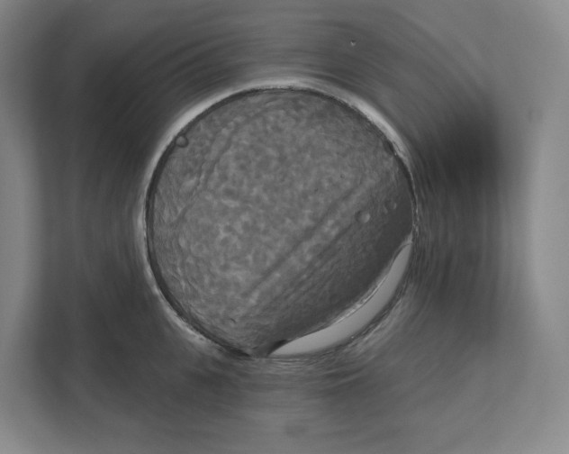 X0000111820951200908201128