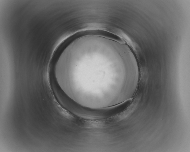 X0000111820952200908201128