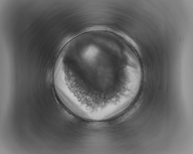 X0000111820953200908201128