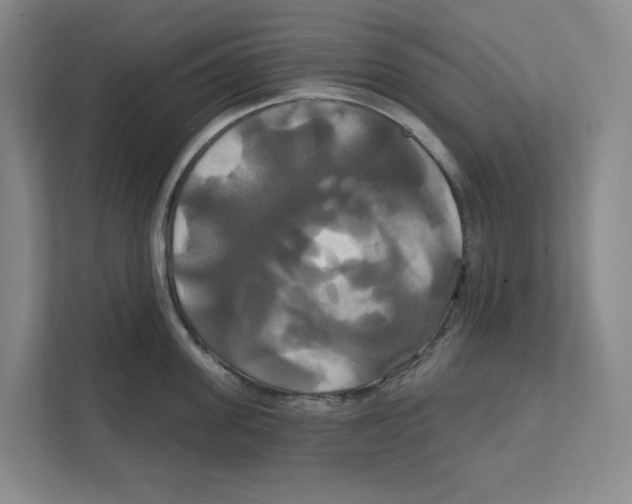 X0000111820955200908201128