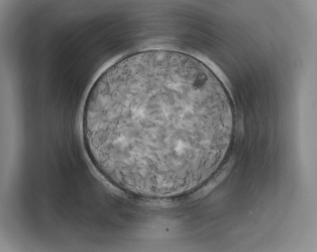 X0000111820957200908201128