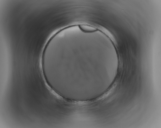 X0000111820958200908201128