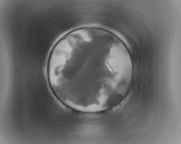 X0000111820959200908201128