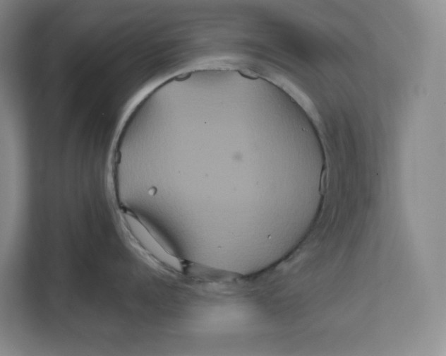 X0000111820960200908201128