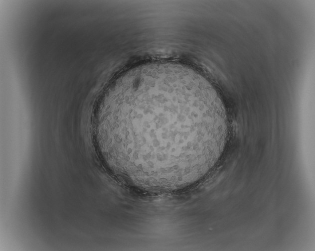 X0000111820961200908201127