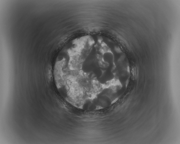 X0000111820963200908201127