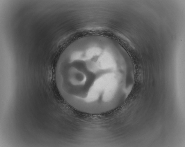 X0000111820966200908201127