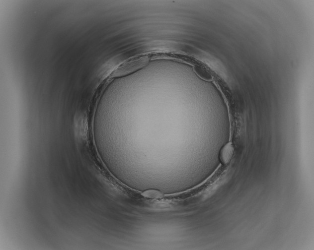 X0000111820969200908201127