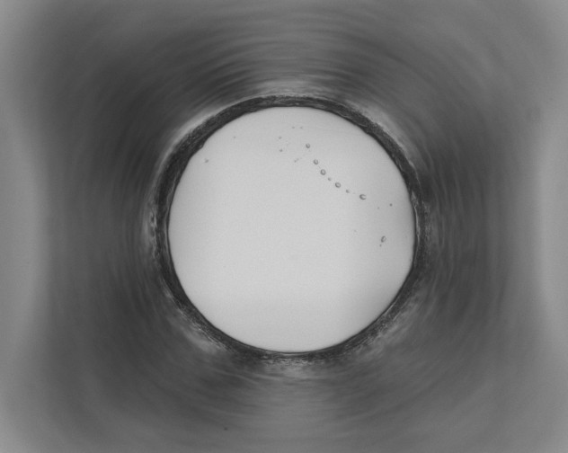 X0000111820971200908201127
