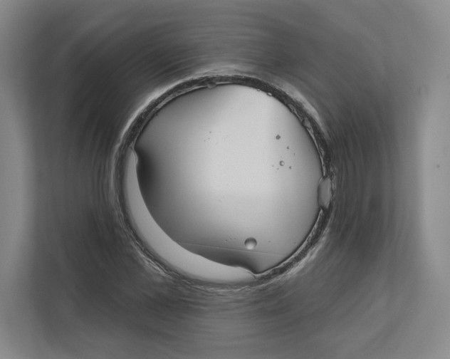 X0000111820973200908201127