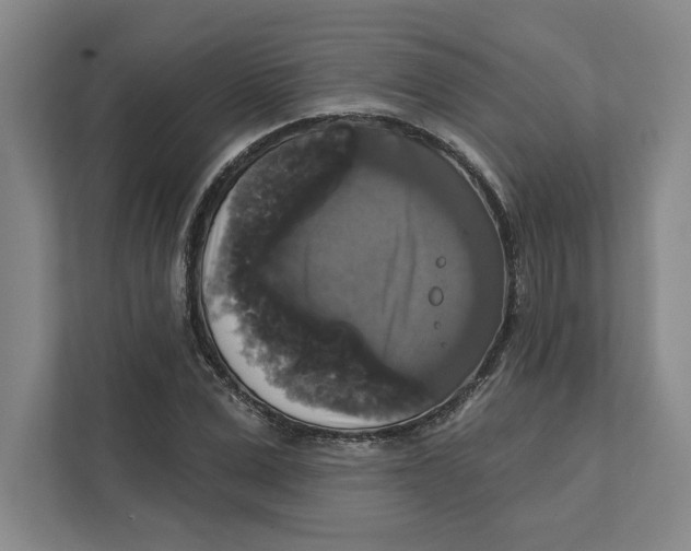 X0000111820975200908201127