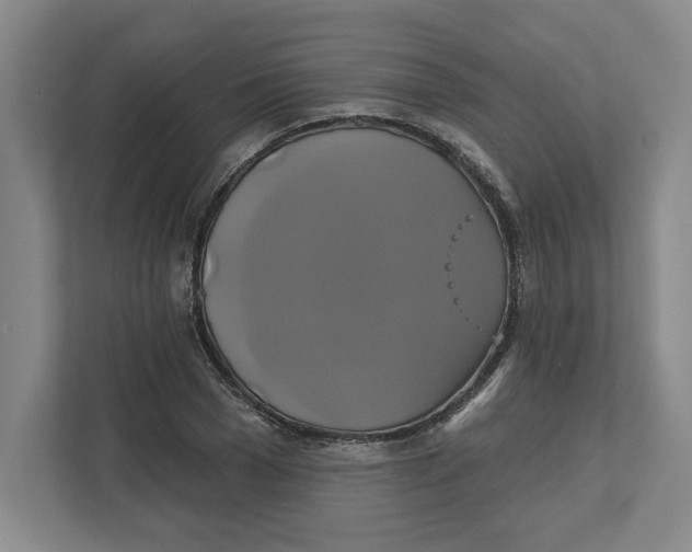 X0000111820977200908201127