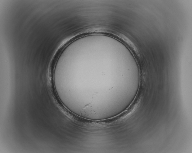 X0000111820981200908201127