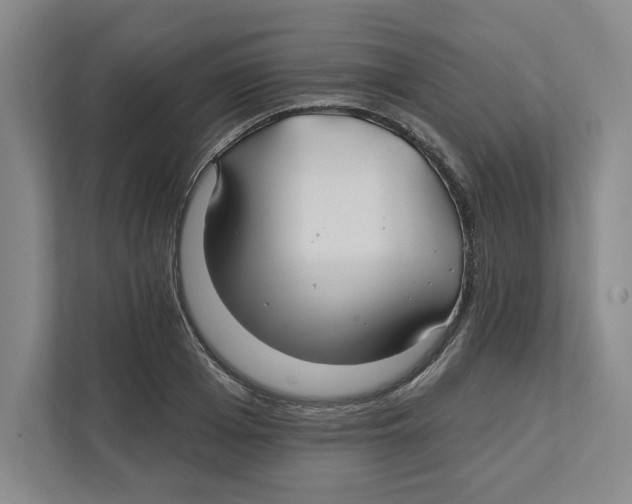 X0000111820985200908201127