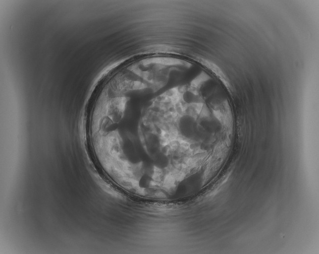 X0000111820987200908201127