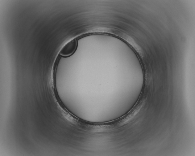 X0000111820988200908201127