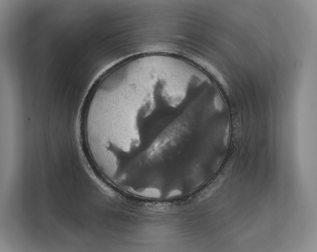 X0000111820991200908201127
