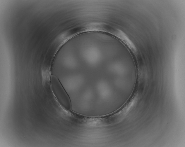 X0000111820993200908201127