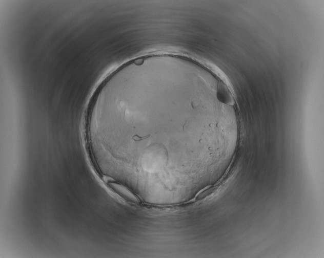 X0000111820997200908201127