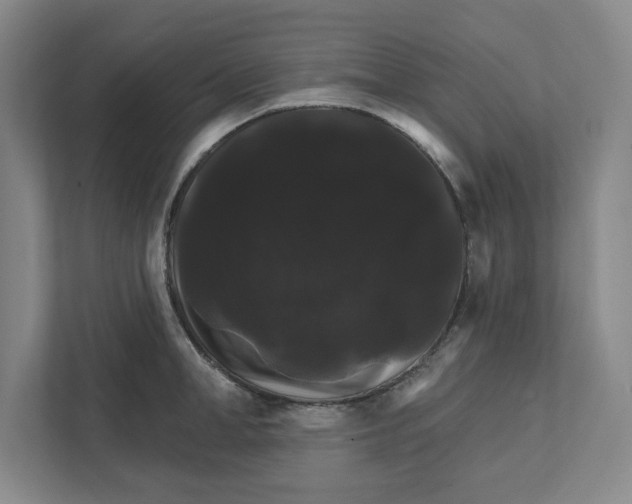X0000111820998200908201127