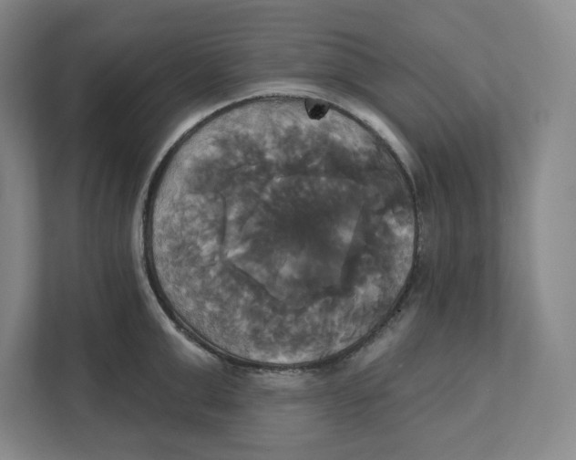 X0000111820999200908201127