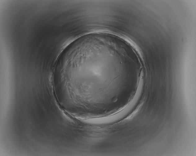 X0000111821001200908201127
