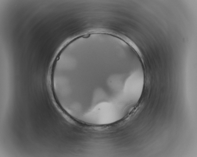 X0000111821005200908201127