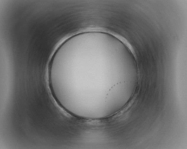 X0000111821006200908201127