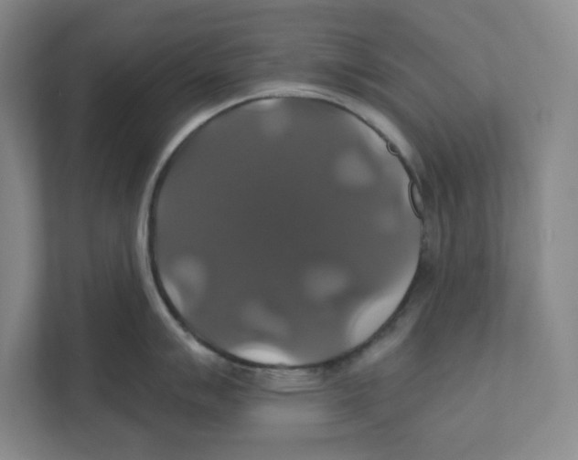 X0000111821007200908201127