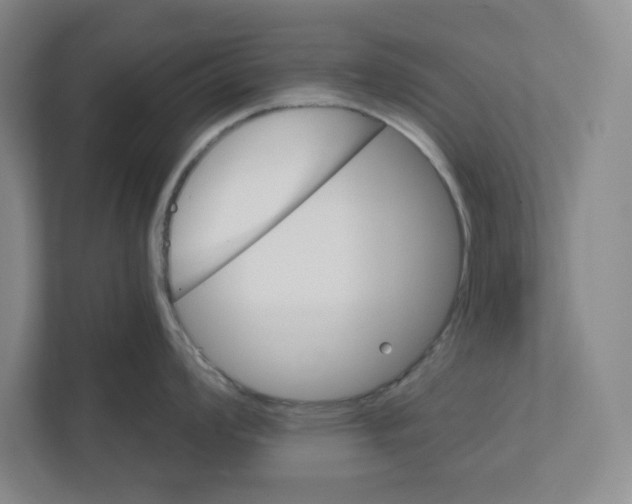 X0000111821008200908201127