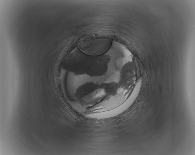X0000111821009200908201126