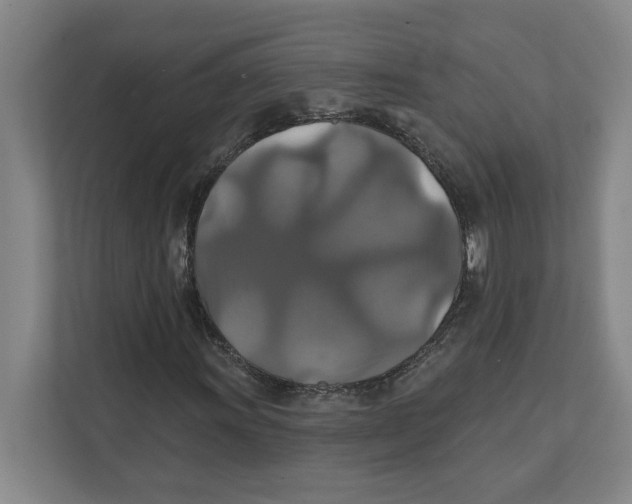 X0000111821011200908201126