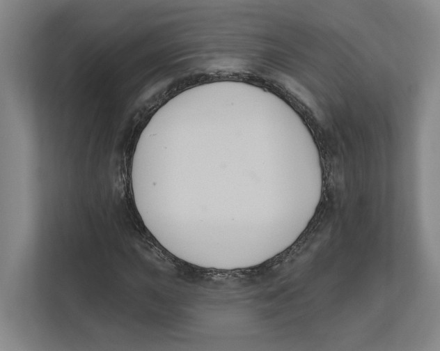 X0000111821015200908201126